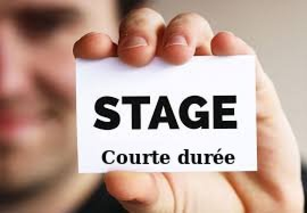 Stages de courte durée